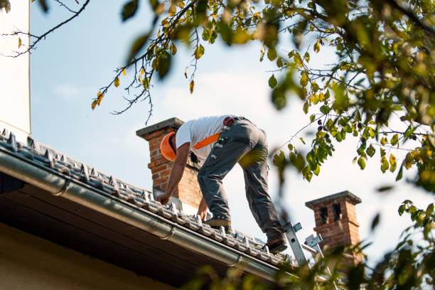 Best Storm Damage Roof Repair  in Huachuca City, AZ