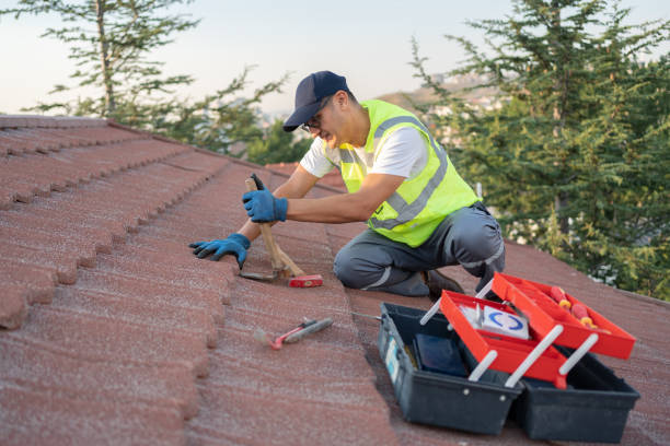 Best Commercial Roofing Services  in Huachuca City, AZ